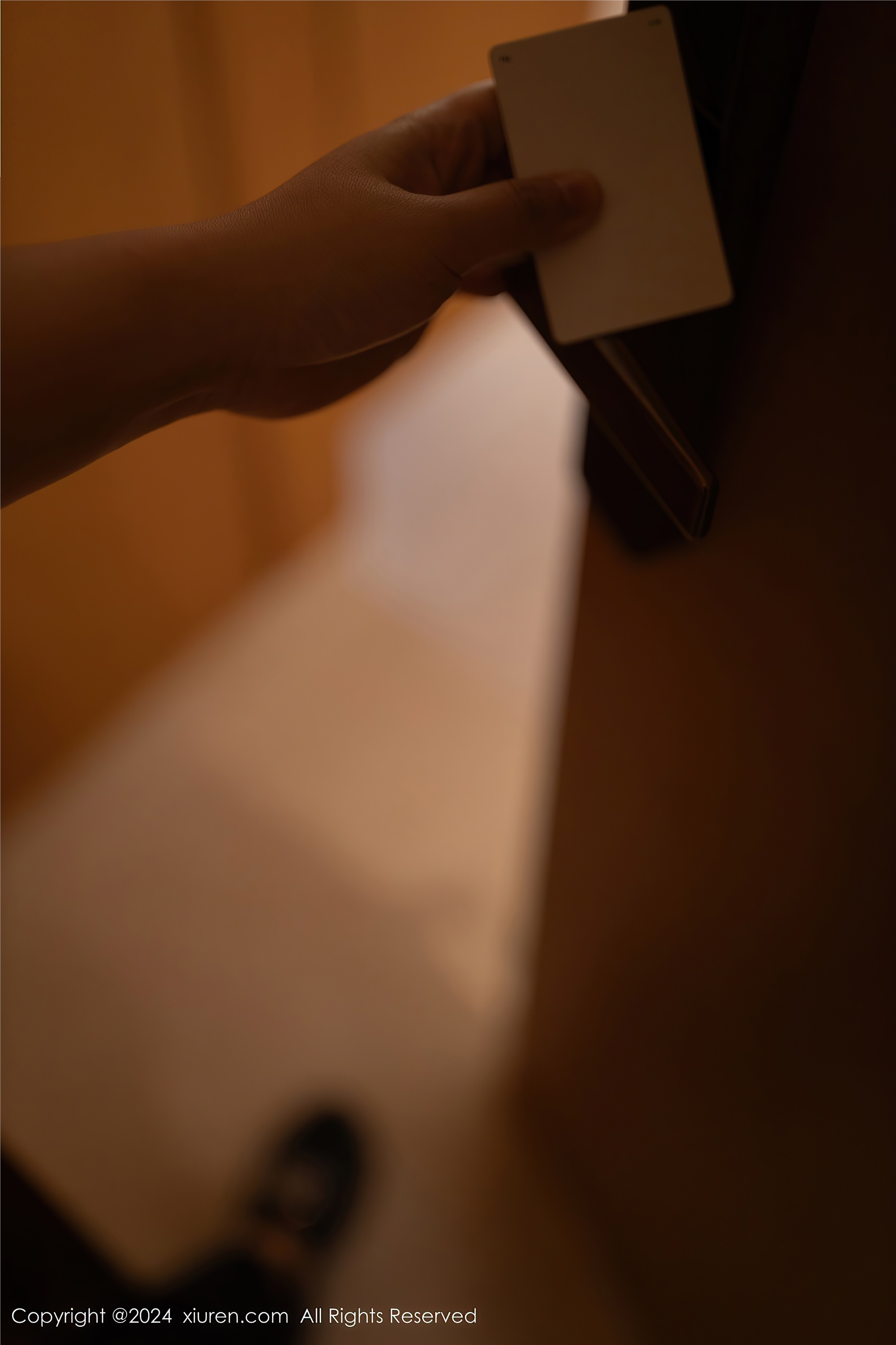 Xiuren秀人网 2024.06.07 NO.8672 幼幼